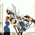 בית כפרי Casa Dos Gomes *