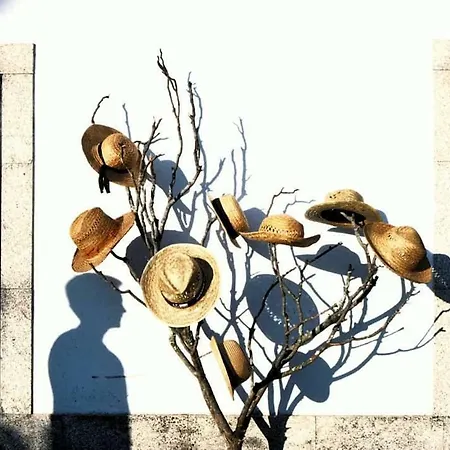 Hétvégi ház Casa Dos Gomes *