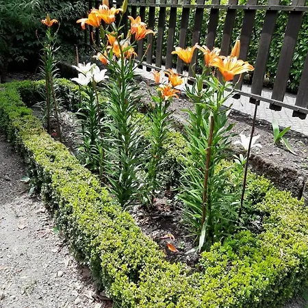 منزل ريفي Casa Dos Gomes *