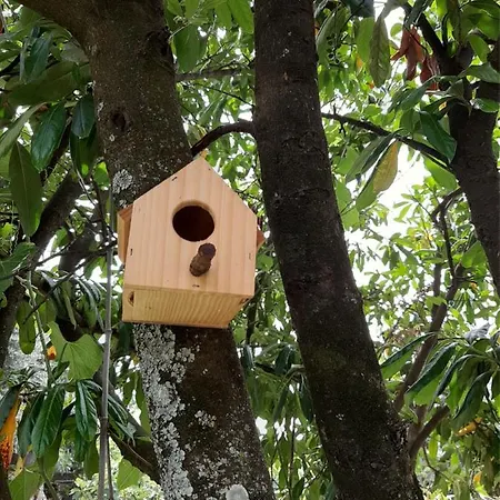 Casa Dos Gomes منزل ريفي