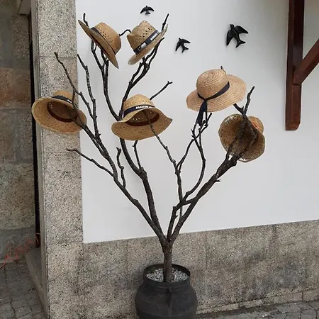 منزل ريفي Casa Dos Gomes