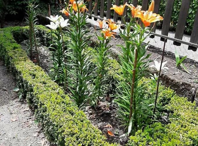 Casa de Campo Casa Dos Gomes *