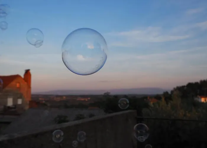 Casa Dos Gomes Casa de Campo Viseu