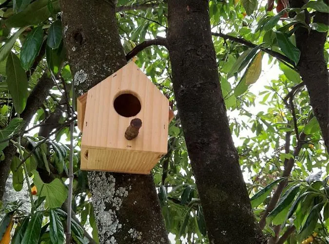 Casa Dos Gomes בית כפרי